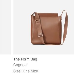 Everlane The Form Bag